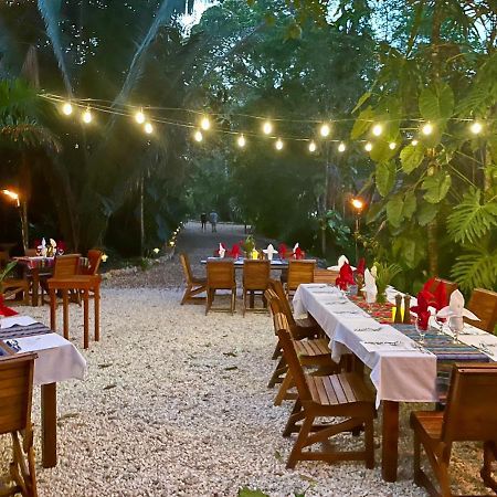 Mariposa Jungle Lodge San Ignacio Dış mekan fotoğraf
