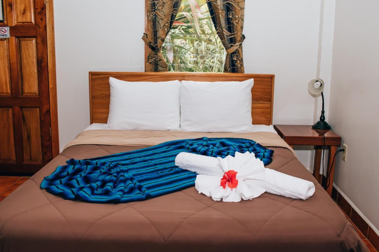 Mariposa Jungle Lodge San Ignacio Dış mekan fotoğraf