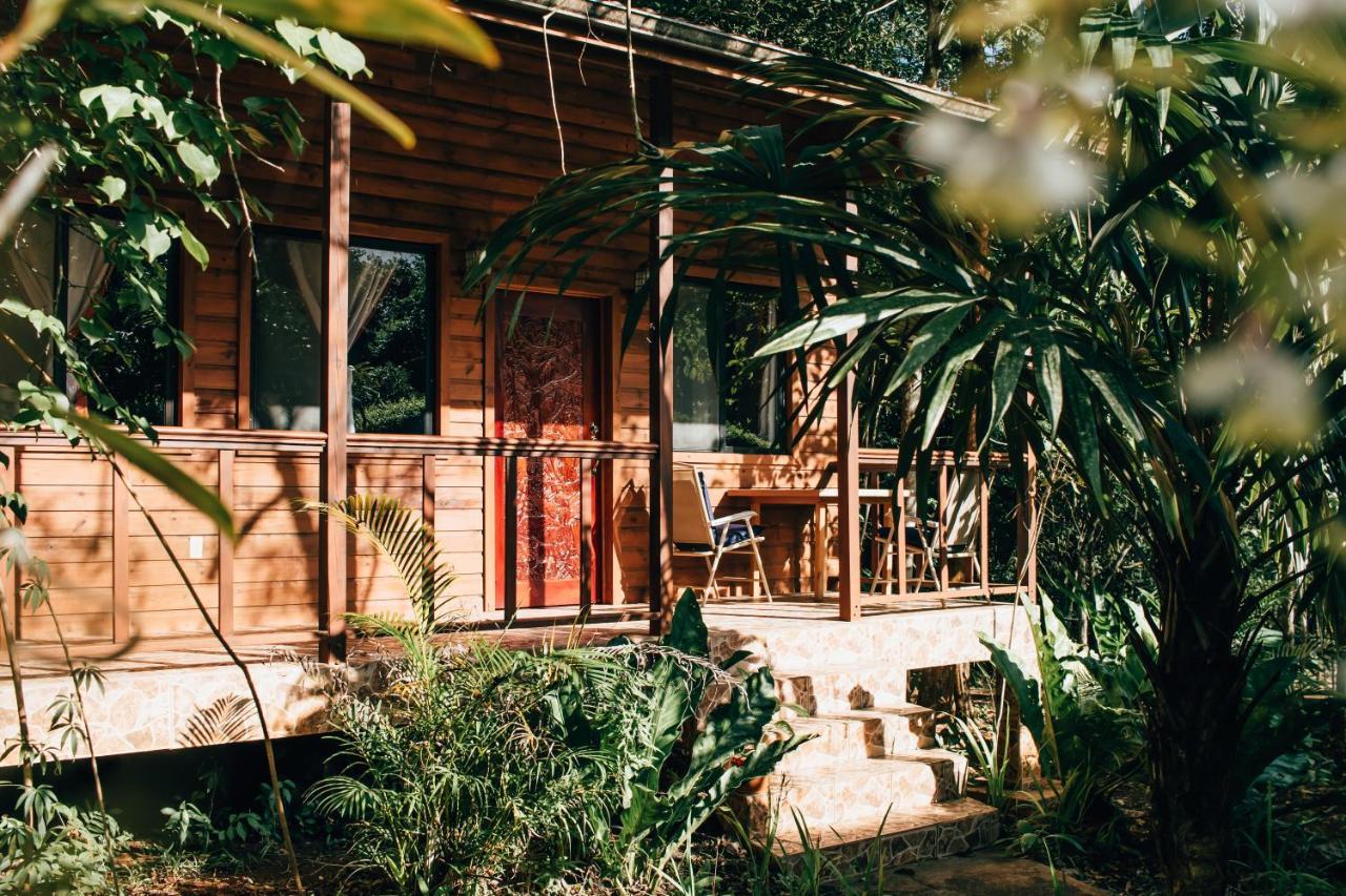 Mariposa Jungle Lodge San Ignacio Dış mekan fotoğraf