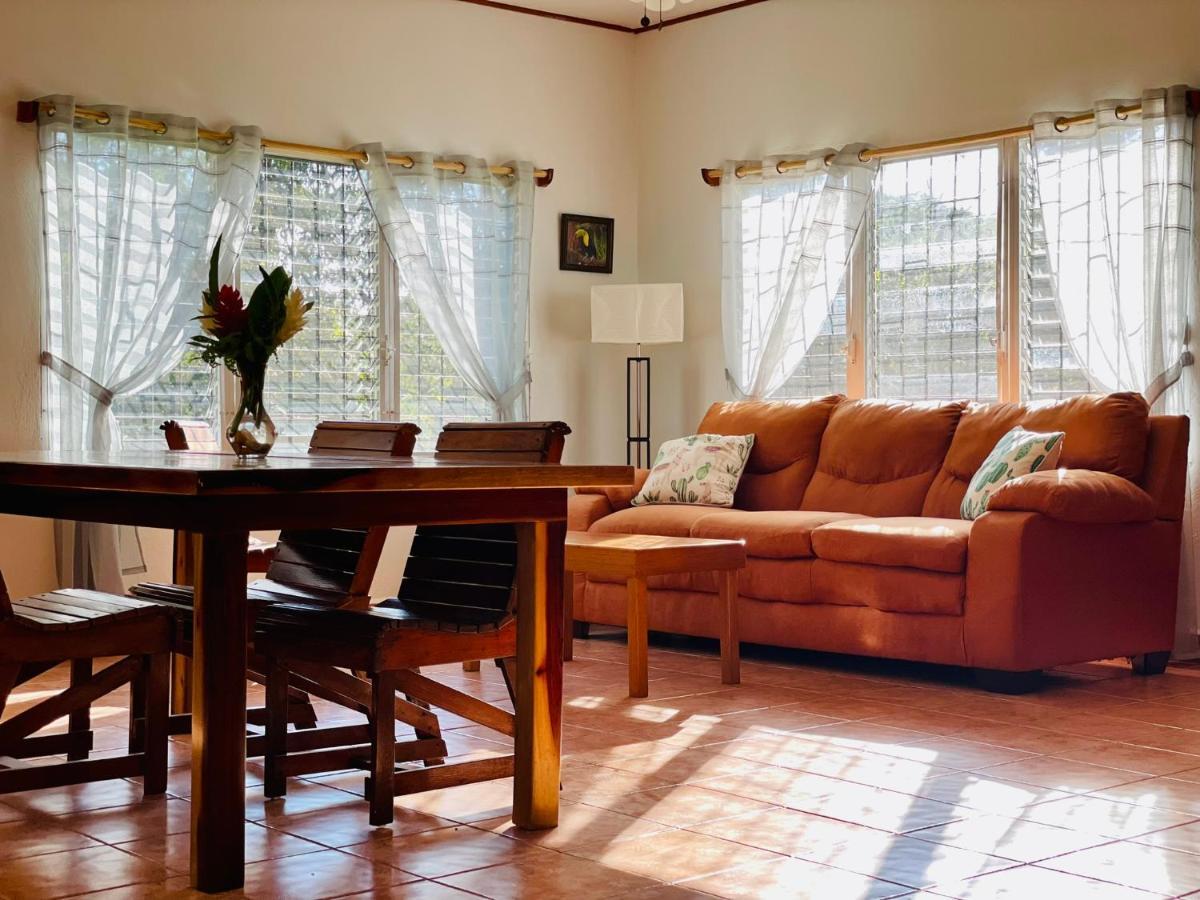 Mariposa Jungle Lodge San Ignacio Dış mekan fotoğraf