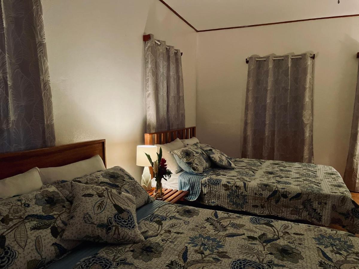 Mariposa Jungle Lodge San Ignacio Dış mekan fotoğraf