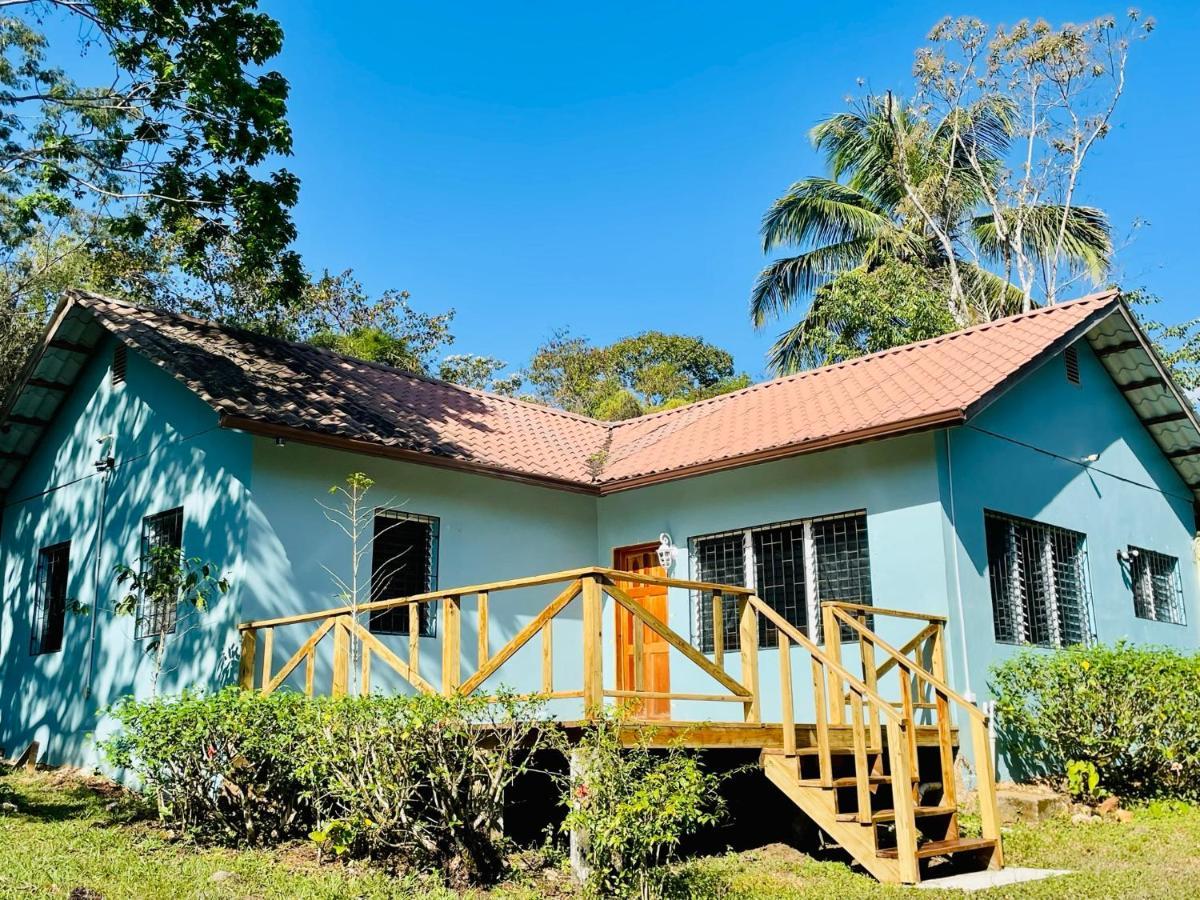 Mariposa Jungle Lodge San Ignacio Dış mekan fotoğraf