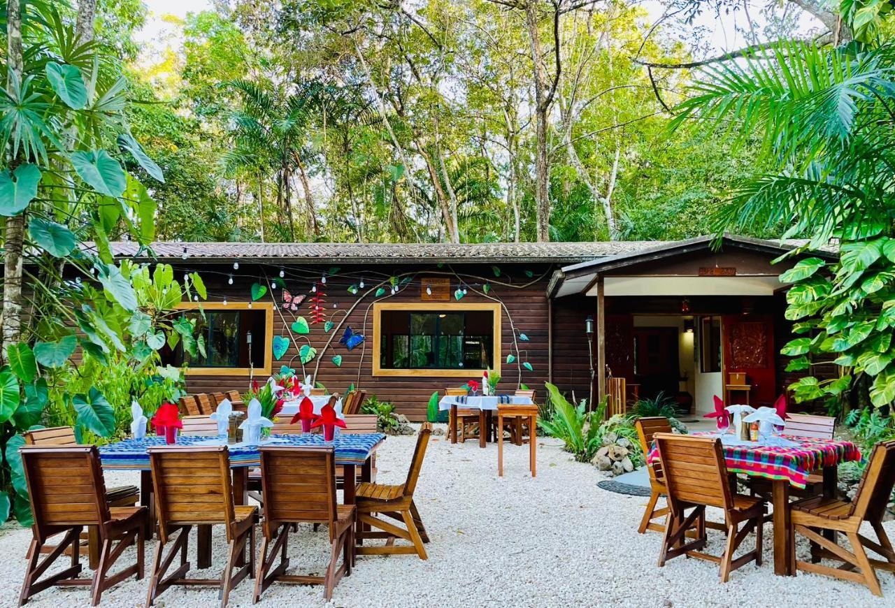 Mariposa Jungle Lodge San Ignacio Dış mekan fotoğraf