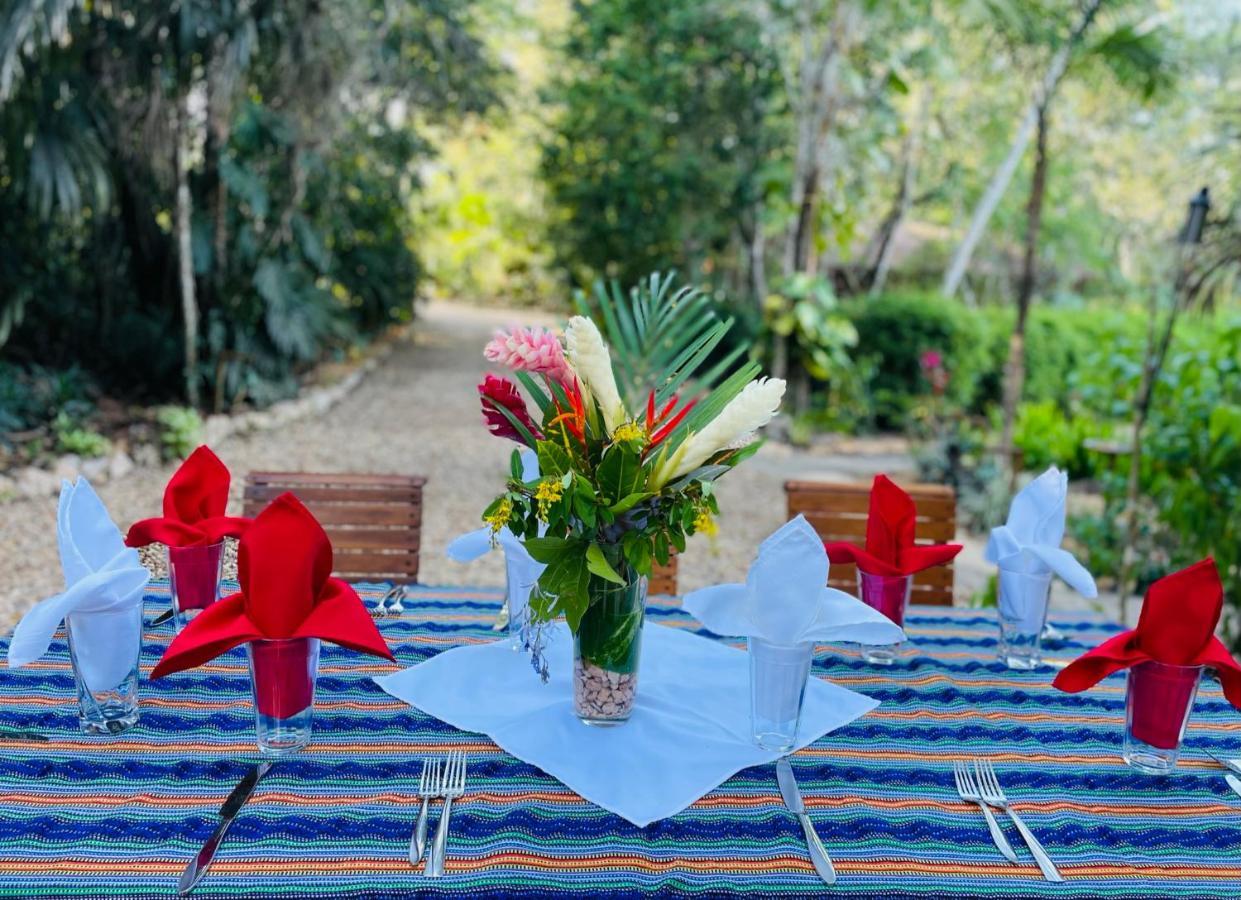 Mariposa Jungle Lodge San Ignacio Dış mekan fotoğraf