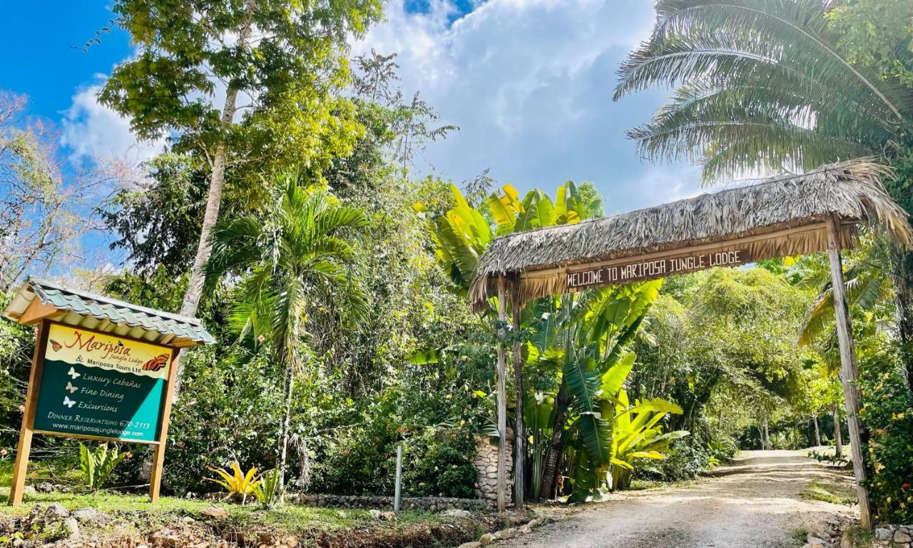 Mariposa Jungle Lodge San Ignacio Dış mekan fotoğraf