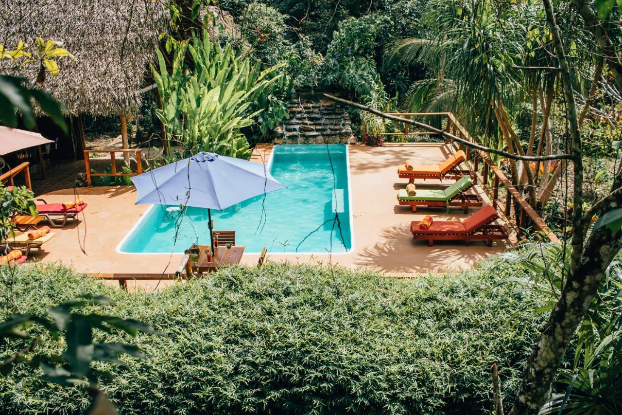 Mariposa Jungle Lodge San Ignacio Dış mekan fotoğraf