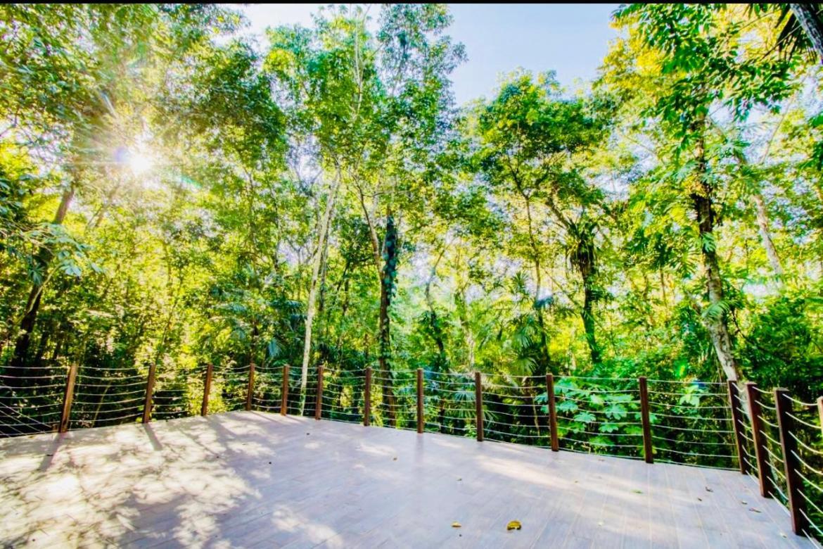 Mariposa Jungle Lodge San Ignacio Dış mekan fotoğraf